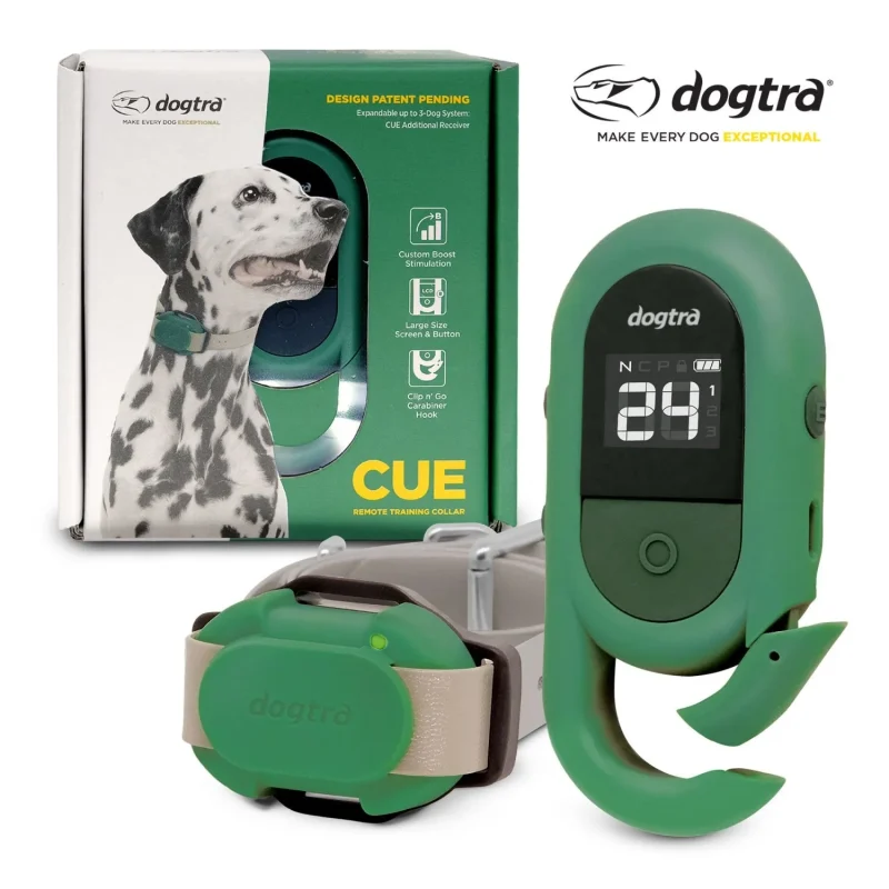 dogtra cue add on collar for enhanced training