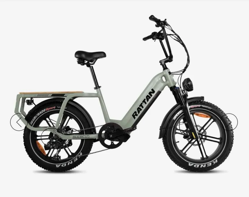 rattan cargo quercus ebike high performance electric bike