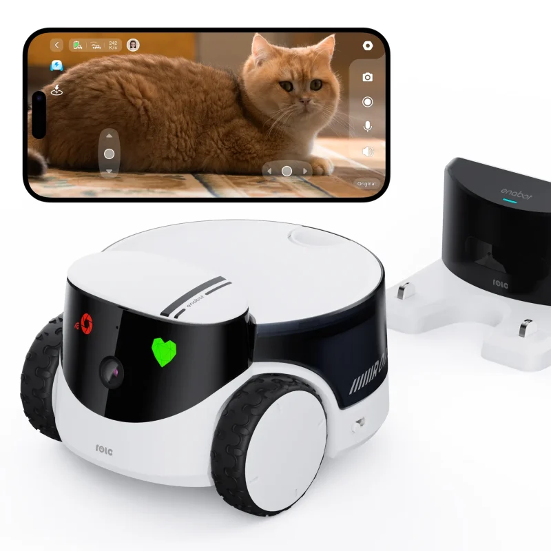 rola petpal companion robot innovative pet care solution